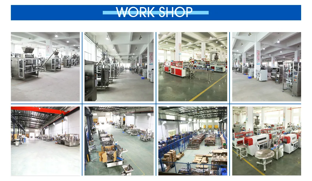 2020 China Famous Brand Automatic Liquid Filling Machine (AFL-12)