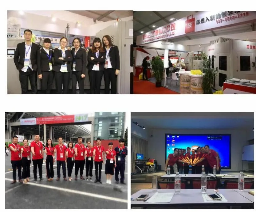 Auto Non Woven Eco Bag Making Machine (ZXL-B700)