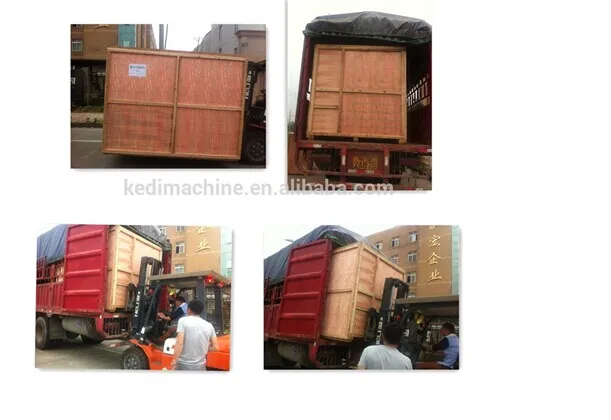 Automatic Bag Given Packing Machine for Pet Powder Food