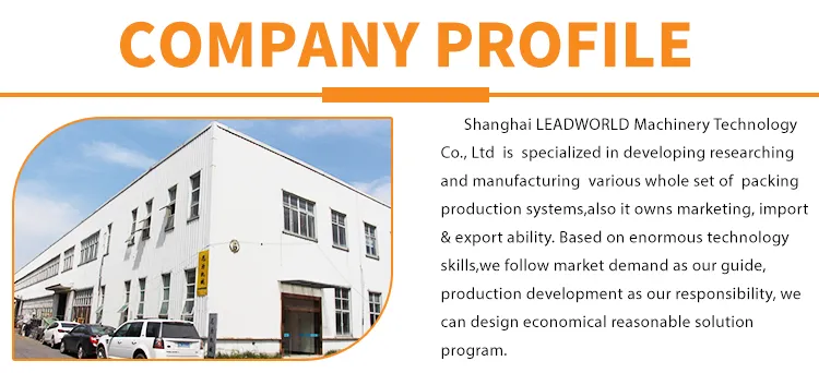 Automatic Carton Box Sealer Sealing Machine with Belt Conveyor