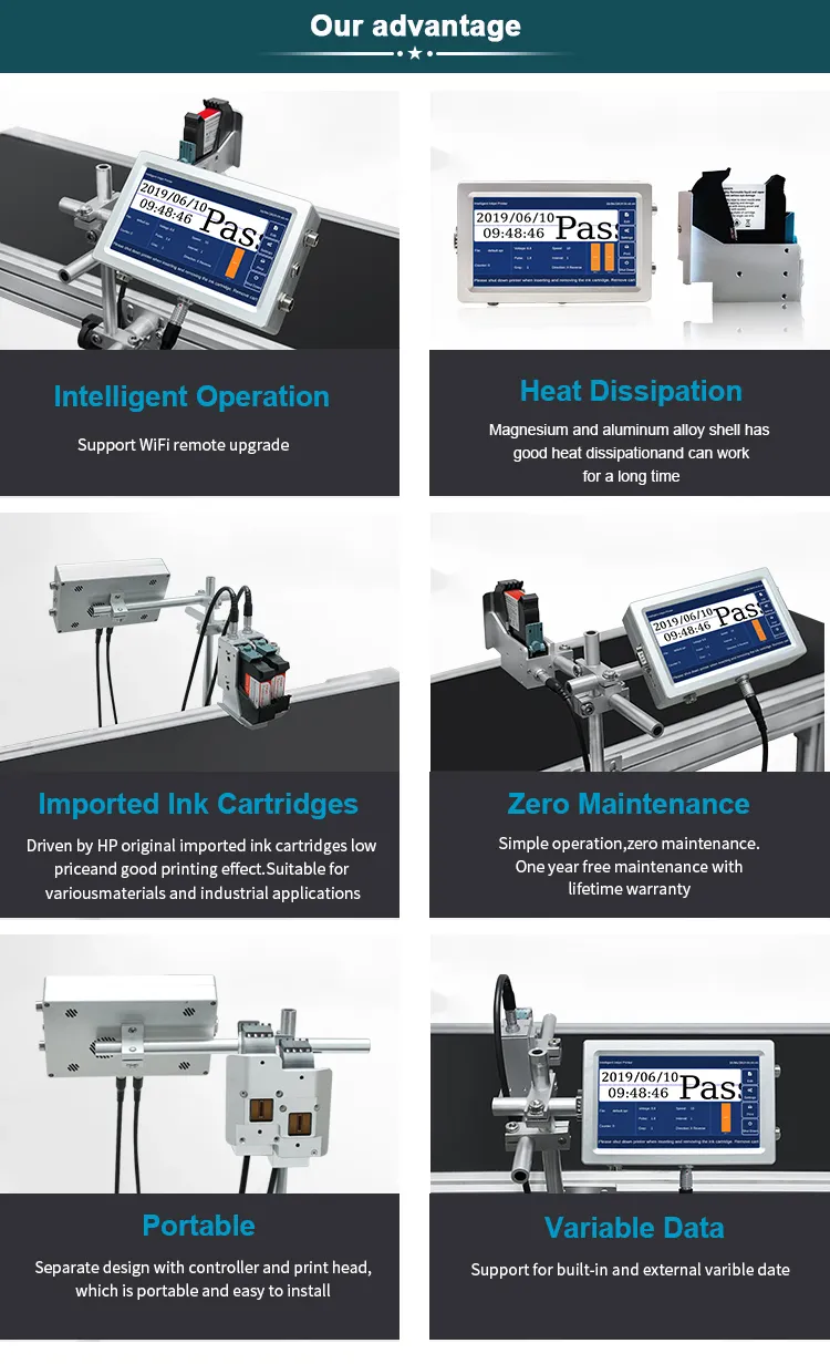 Automatic Food Package Poly Bag Marking Industrial Inkjet Printer