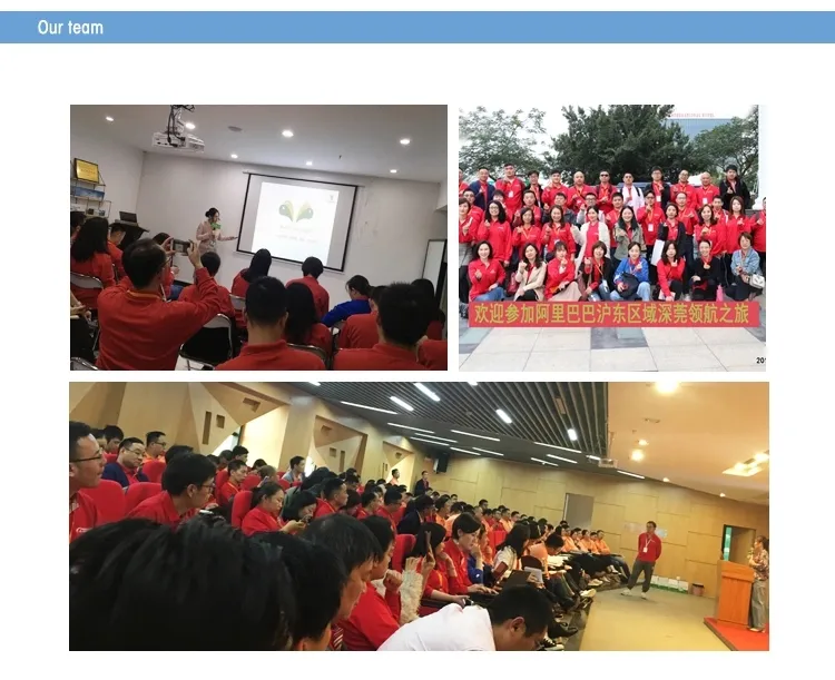 Automatic Liquid Glass Bottle Wine/Liquor/Alcohol/Spirit/Drink/Beverage Filling Bottling Machine