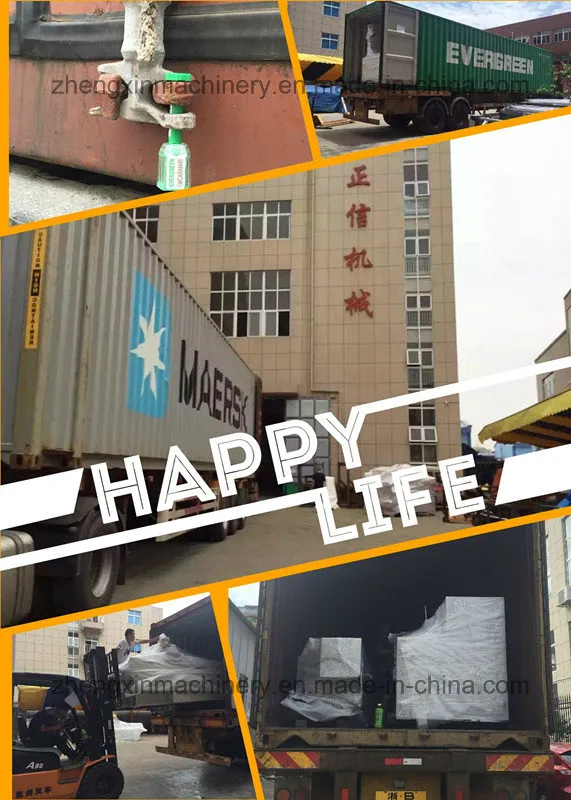 Automatic Non Woven D-Cut Bag Making Machine (zxl-b700)