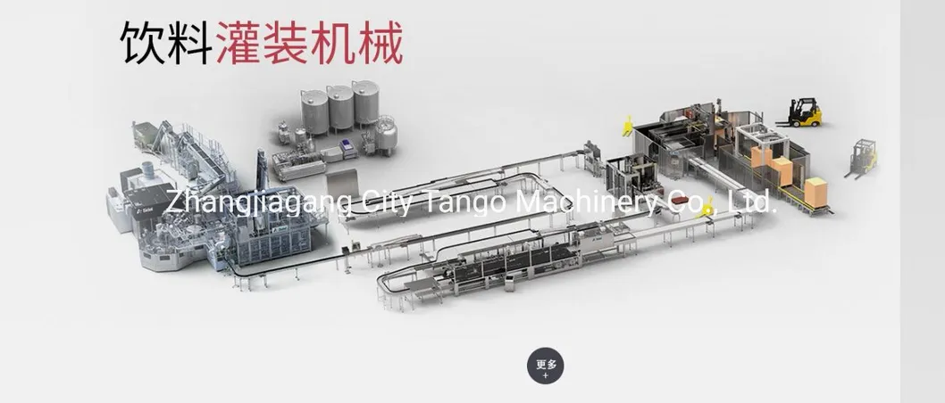 Automatic Pet Bottled Drinking Water Packing Machinery Machine