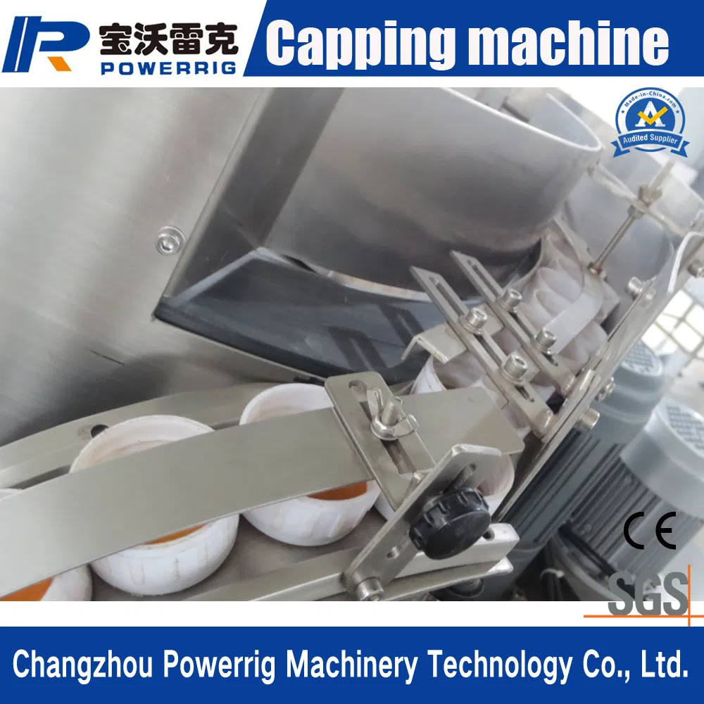 Automatic Plastic Bottle Screw Capping Filling Labeling Packing Machine with Ce and SGS Certificate