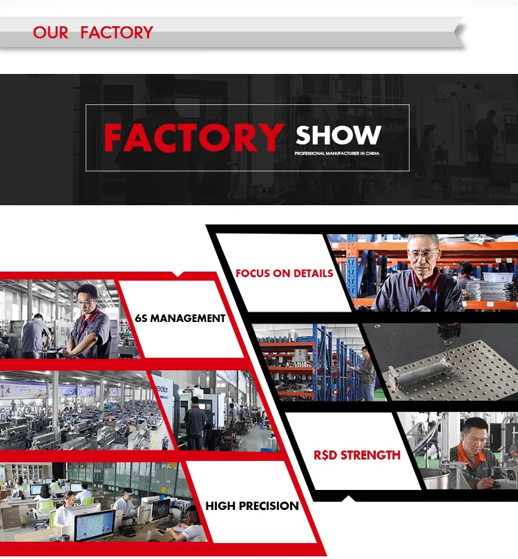 Automatic Zipper Pouch Beef Jerky Rotary Packaging Machinery with Elevator