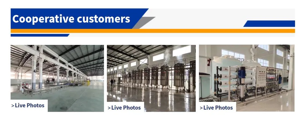 CE Standard Automatic Paste Marmalade Mayonnaise Ketchup Maple Syrup Pepper Sauce Filling Sealing Bottling Machine