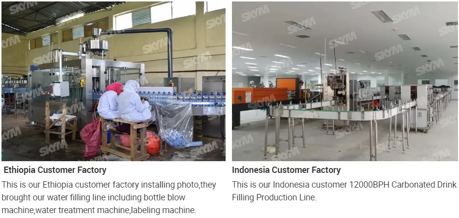 Complete Bottled Natural Mineral Sparking Water Filling Making Packing Machine Production Line