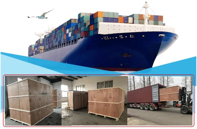 Customized Empty Printing Sleek355ml Standard355ml 12oz 16oz Aluminum Can Beer/Beverage/Metal/Soda/Coffee Can with 202 Sot Rpt Easy Open End/Lid with Bpani