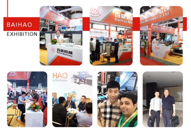 Double Line High Speed Bio T-Shirt Plastic Bag Making Machine