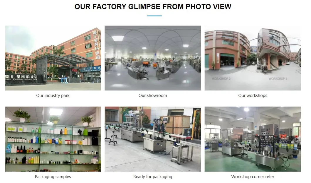 Factory Supply Automatic Effervescent Tablet Tube Filler with Tube Count Filling Capping Labeling Production