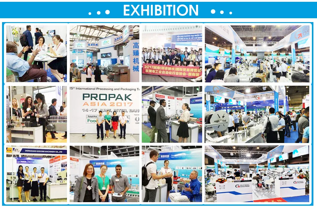 Fish, Meat Snack Gosunm China Gummed Adhesive Tape Dispenser GS-Wat-1100