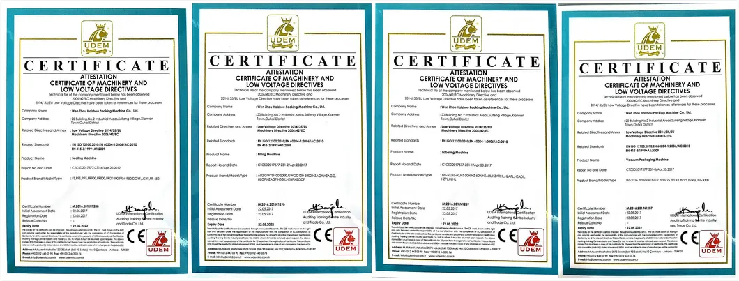 Fr-980 Automatic Continuous Band Sealing Machine with Solid-Ink Coding