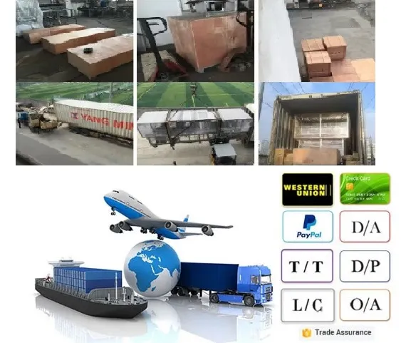 Full-Automatic Communion Cup Plastic Cup Filling and Sealing Machine