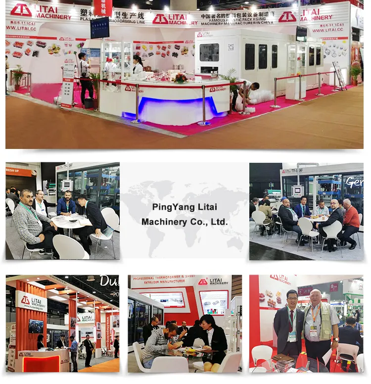 High Efficiency Plastic Yoghurt Cup Packaging Sealing Machine Durable in Use