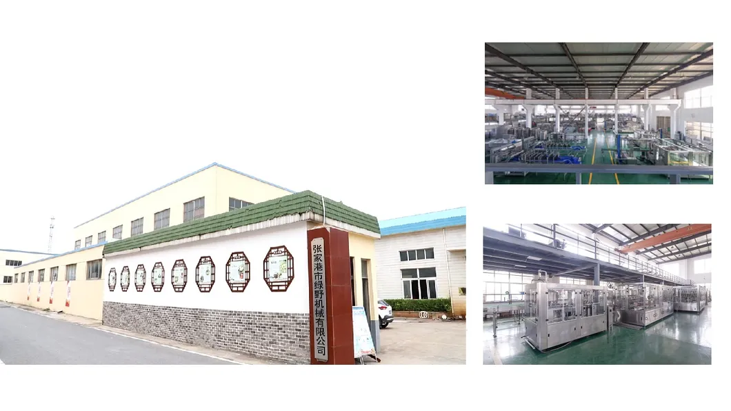 Juice 3 In1 Filling Machine/Pet Bottled Juice Machinery/Used Juice Factory for Sale/Litchi Juice Fillingmachine/Juice Filler-Capper Machine