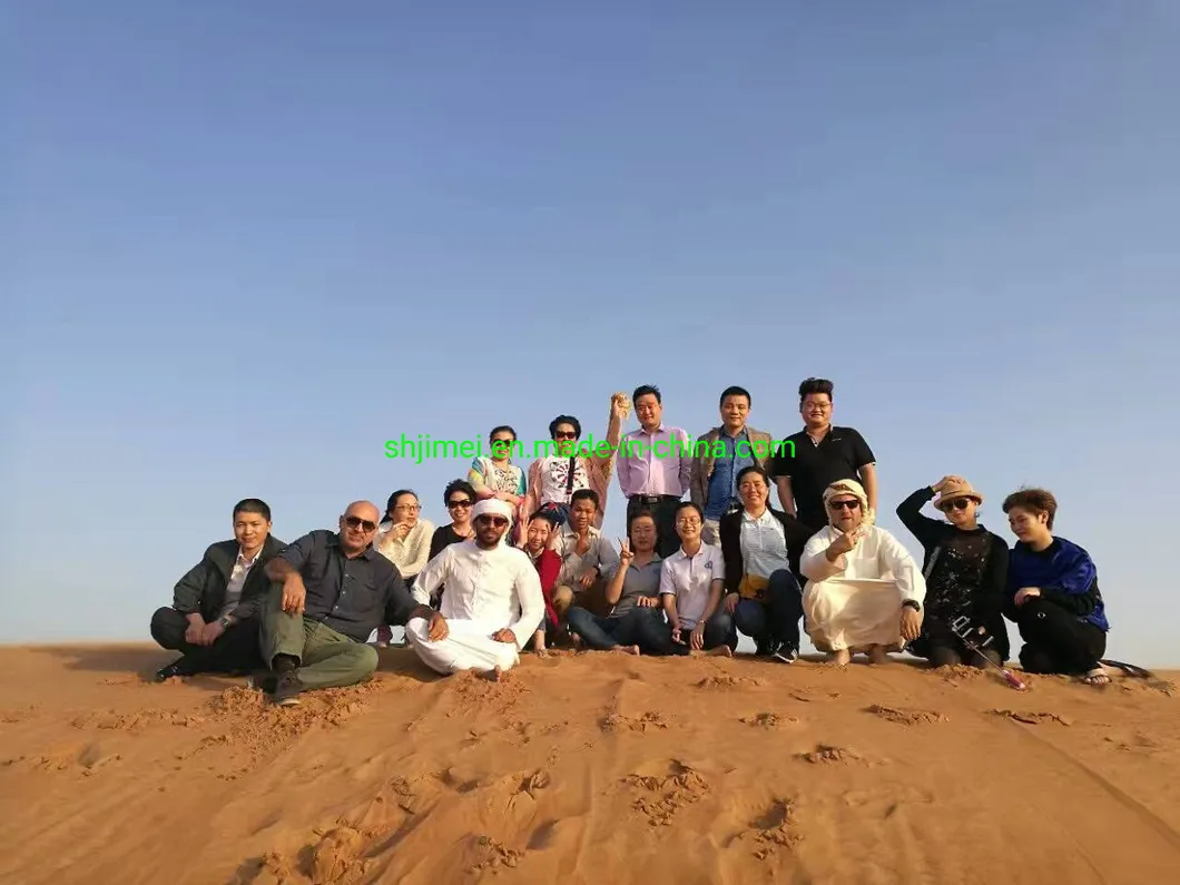 Milk /Juice / Beverage / Carton Brick Pak Package /Packing with Cap