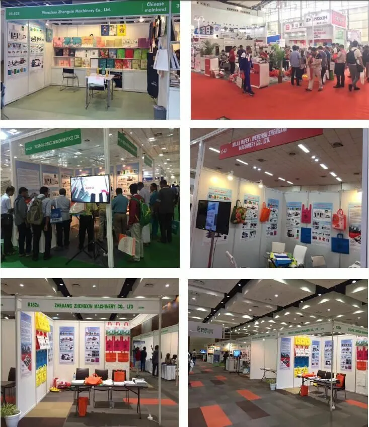 Non Woven Fabric Bag Making Machine (ZXL-C700)