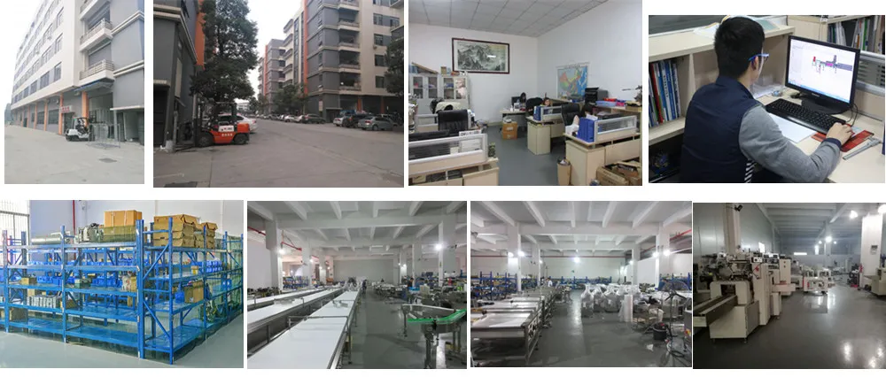 Pillow Type Plastic Film Flow Wrapping Machine for Toast, Sliced Bread (TFD-480S)