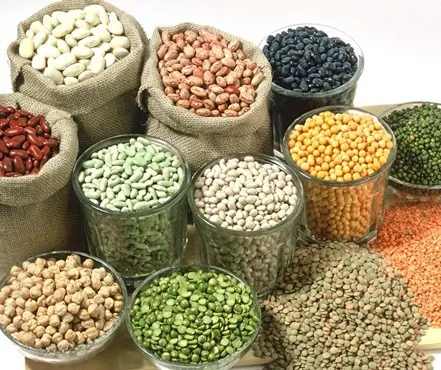 Semi Automatic Granular Sugar Rice Filling Machine with Cup Volumetric Filler