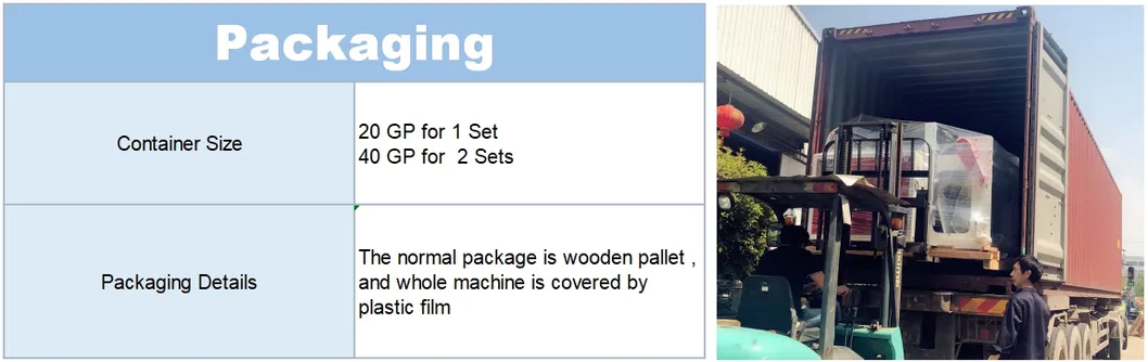 Servo Motor Driving T-Shirt Plastic Bag Vegetable Bag Vest Bag HDPE LDPE Film Machine with Gusset Factory