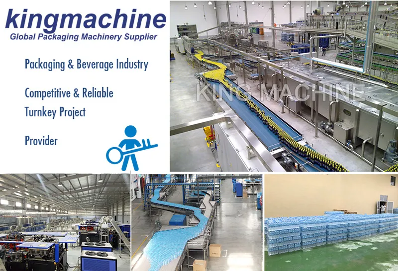 Still Water Bottling Line/Water Production Plant Made in China