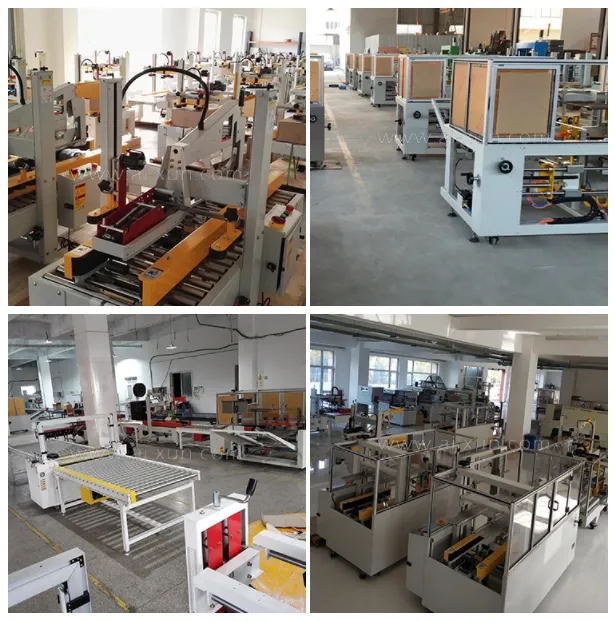 Yupack Hot Selling Model Automatic Carton Sealing Machine (FXJ-AT5050)